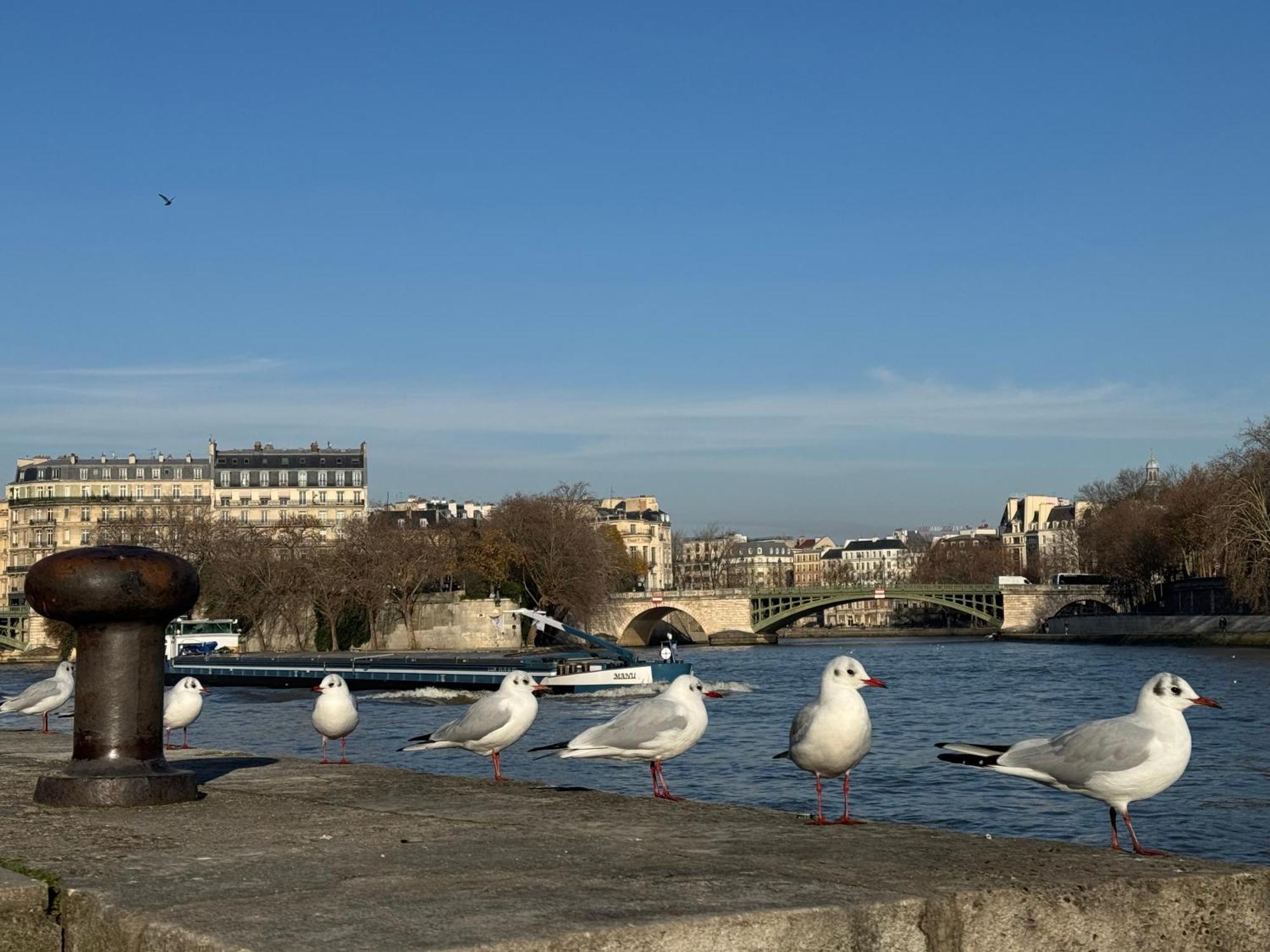 New Private Center - Les Arenes Pantheon Notre-dame Jussieu Jardin Des Plantes Quai De Seine Appartement Parijs